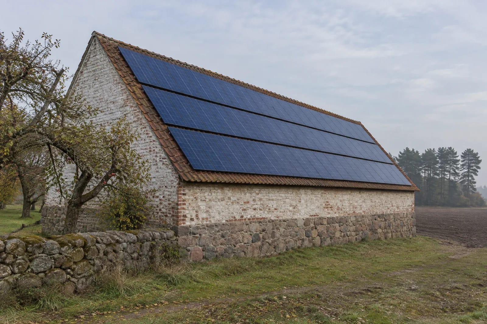 Im Südwesten des Kreises, im Hohen Fläming und in der Zauche um Lehnin, ist das Dorf anders gebaut als am Teltowkanal: Dorfanger, Feldsteinkirche, Vierseithöfe. Die Scheune steht quer zum Hof, ihr Satteldach läuft über zwanzig Meter ohne Gaube, ohne Kehle, ohne Schornstein. Rund 42 Prozent des Kreises sind Wald, auf fast der Hälfte des Restes wird Landwirtschaft betrieben — solche Hofanlagen sind hier kein Einzelfall. Die Frage ist nicht die Fläche, sondern was der alte Dachstuhl aufnimmt. Nahsicht auf die Südseite einer Feldsteinscheune am Dorfanger im Hohen Fläming in Potsdam-Mittelmark: Bruchsteinsockel, Ziegelgiebel, ein über zwanzig Meter langer First, darauf drei durchgehende Reihen dunkler Module; rechts Ackerland, links eine niedrige Feldsteinmauer und Obstbäume.
